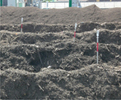 COMPOtemp  - Compost Temperature Monitoring